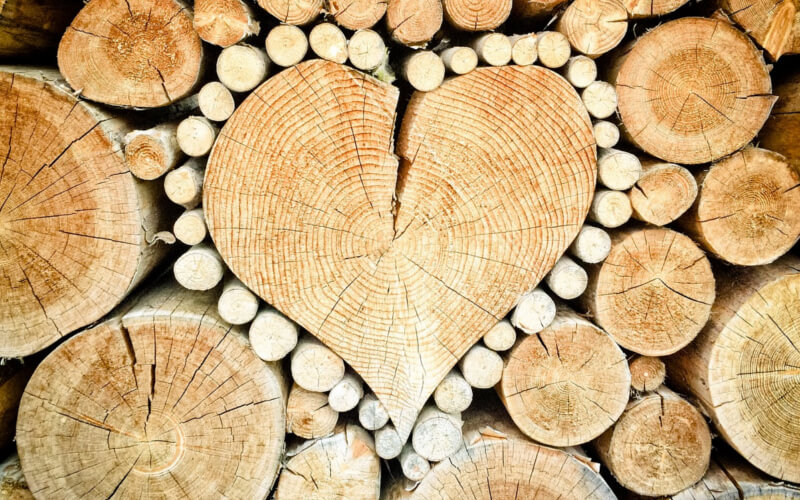 Detale, które robią różnicę – jak naturalne drewno zmienia charakter domu